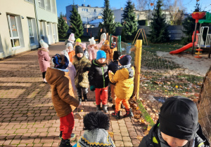 Dzieci zawieszają rolki z ziarnem.