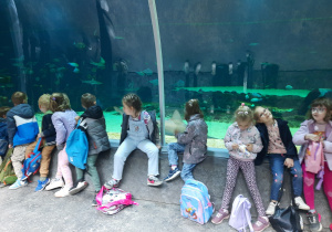 Dzieci w kanale podwodnym obserwują mieszkańców wodnych.