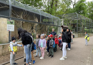 Dzieci oglądają kolejne okazy zoo.
