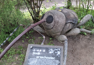 Wielki eksponat owada.