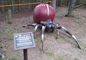 Wielki eksponat owada.