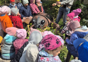 Dzieci oglądają figurę owada na ścieżce edukacyjnej.