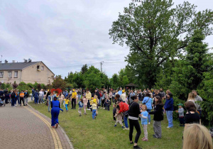 Zdjęcie 17 na 30