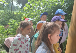 Dzieci na ścieżce edukacyjnej.