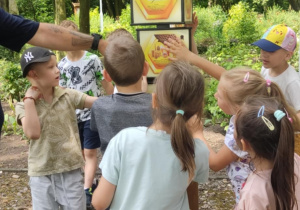 Dzieci na ścieżce edukacyjnej.