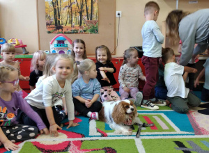 Dogoterapia w przedszkolu.