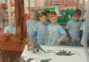 Zdjęcie 4 na 74