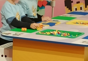 Zdjęcie 25 na 74