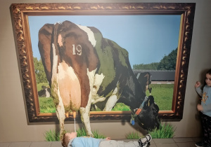 Zdjęcie 74 na 74