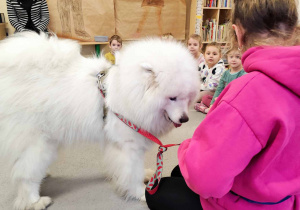 Dzieci doświadczają psa rasy samojed.