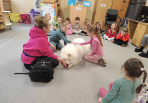 Dzieci doświadczają psa rasy samojed.