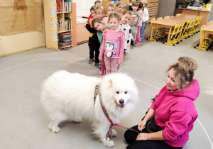 Dzieci doświadczają psa rasy samojed.