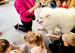 Dzieci doświadczają psa rasy samojed.
