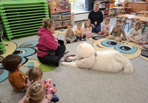 Prezentacja samojeda.