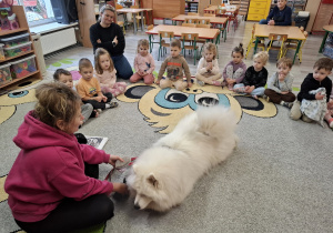 Prezentacja samojeda.