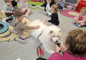 Dzieci czeszą psa.