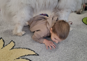 Dzieci przechodzą pod psem.