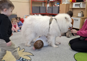 Dzieci przechodzą pod psem.