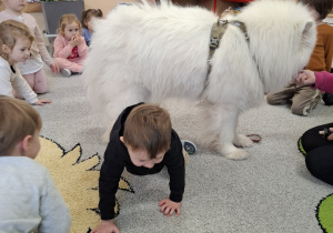 Dzieci przechodzą pod psem.