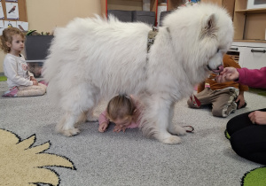 Dzieci przechodzą pod psem.