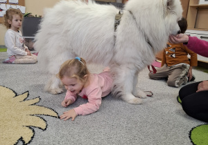 Dzieci przechodzą pod psem.