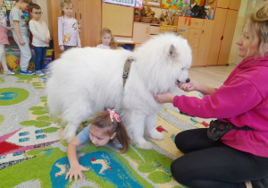 Dziecko przechodzi pod psem.