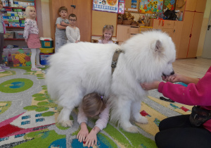 Dziecko przechodzi pod psem.