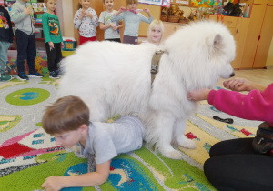 Dziecko przechodzi pod psem.