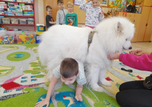 Dziecko przechodzi pod psem.