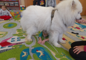 Dziecko przechodzi pod psem.