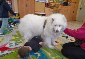 Dziecko przechodzi pod psem.