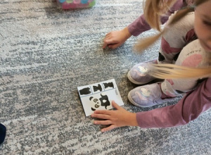 Dzień pluszowego misia.