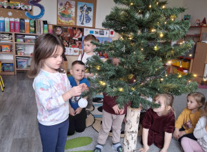 Króliki ubierają choinkę.