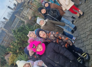 Sowy dokarmiają ptaki.