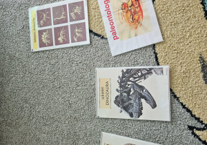 Obrazki przedstawiające prehistoryczny świat.