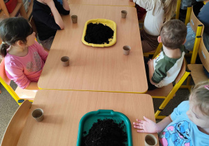 Dzieci sadzą cebulki w doniczkach.