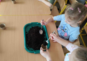 Dzieci sadzą cebulki w doniczkach.