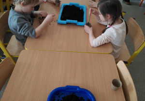 Dzieci sadzą cebulki w doniczkach.