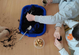 Dzieci sadzą cebulki w doniczkach.