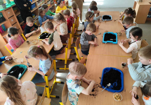 Dzieci sadzą cebulki w doniczkach.