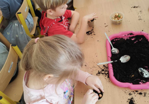 Dzieci sadzą cebulki w doniczkach.