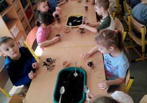 Dzieci sadzą cebulki w doniczkach.