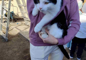 Dziecko trzyma kota.