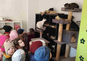 Dzieci oglądają siedzibę Kociej Szansy.