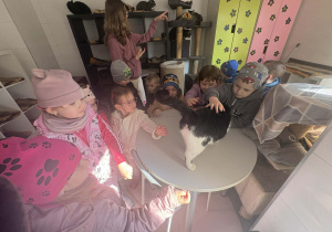 Dzieci oglądają siedzibę Kociej Szansy.