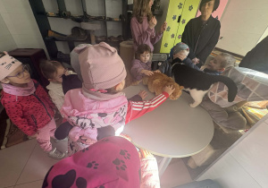 Dzieci oglądają siedzibę Kociej Szansy.