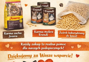 Dzieci oglądają siedzibę Kociej Szansy.