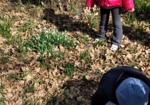 Dzieci w parku wśród kwiatów.