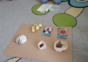 Dzieci na dywanie podczas wprowadzenia do tematu.