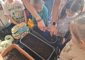 Dzieci sadzą cebulki roślin.